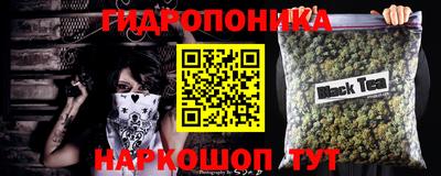 мдпв Кингисепп