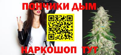 мдпв Кингисепп