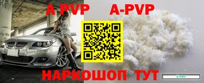 мдпв Кингисепп