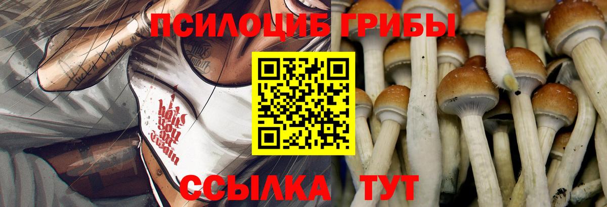 Керчь  Псилоцибиновые грибы мицелий  Вход с VPN  Псилоцибиновые грибы Psilocybine cubensis 
